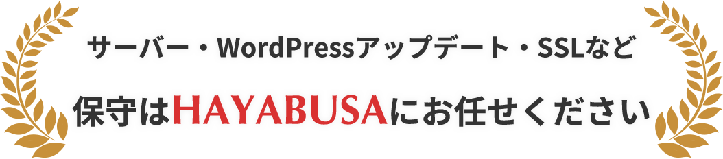 サーバー・WordPressアップデート・SSLなど 保守はHAYABUSAにお任せください